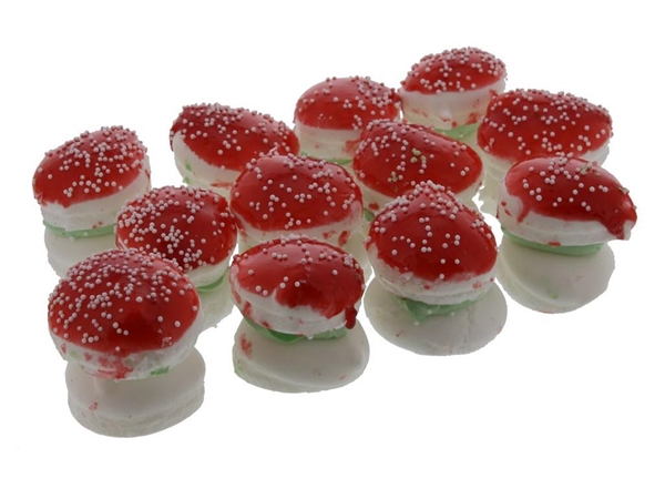 Paddenstoeltjes a 12